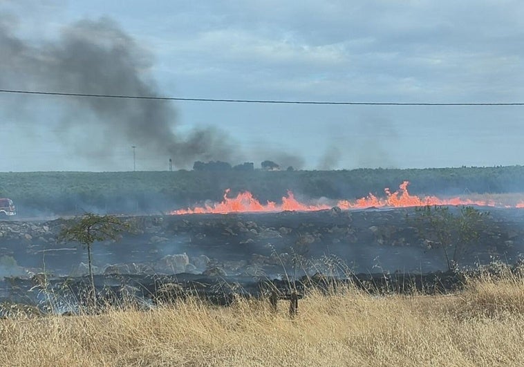 Sofocado un incendio en la zona de San Marcos